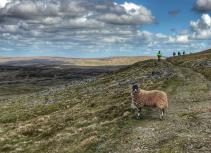 Coast to Coast Mountain Biking Tour